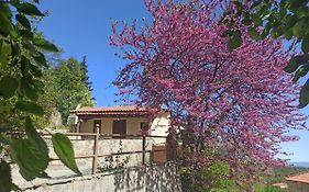 Forestrock Studio For Sale Too