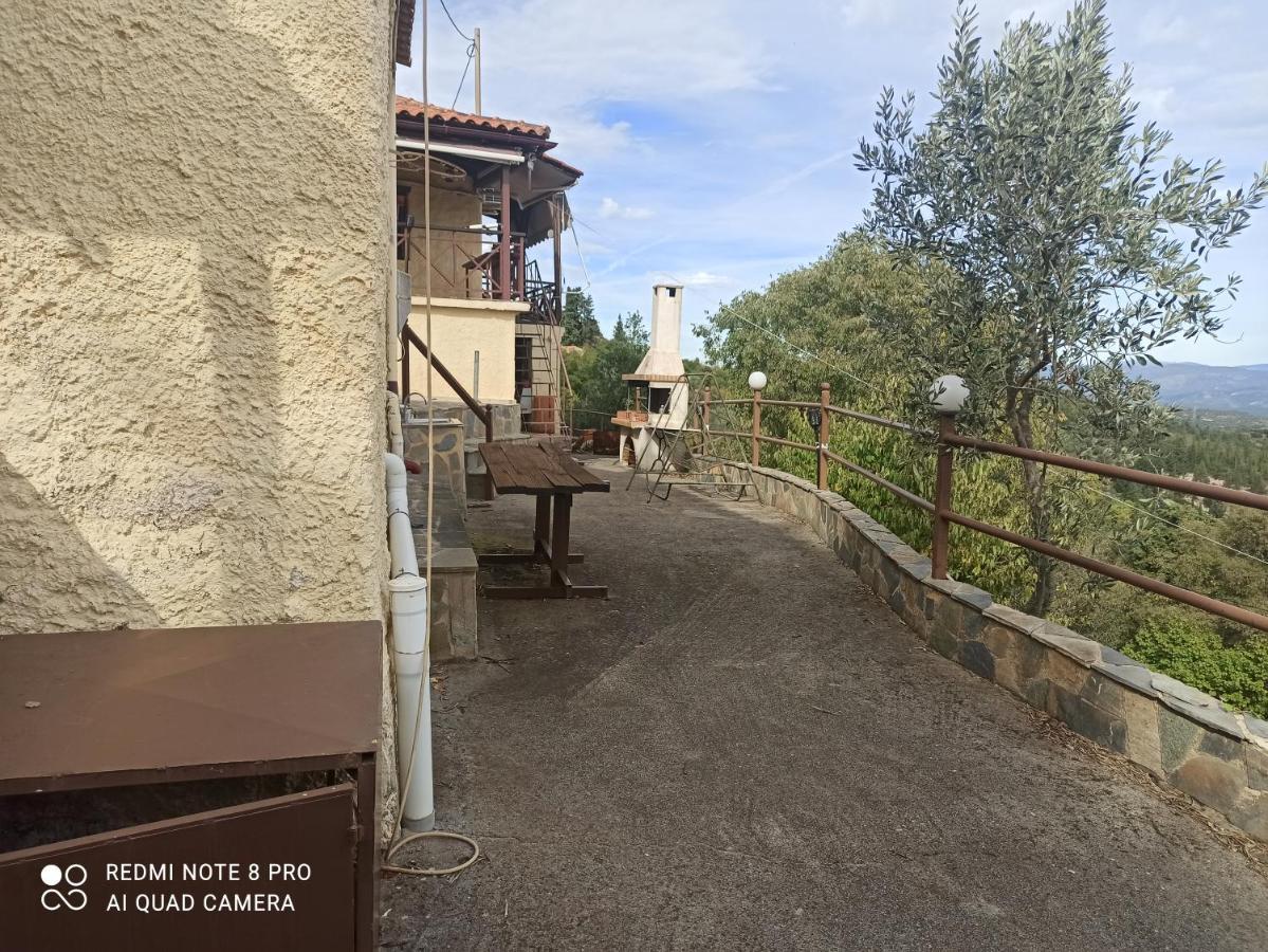 Forestrock Studio For Sale Too สปาร์ติ ภายนอก รูปภาพ