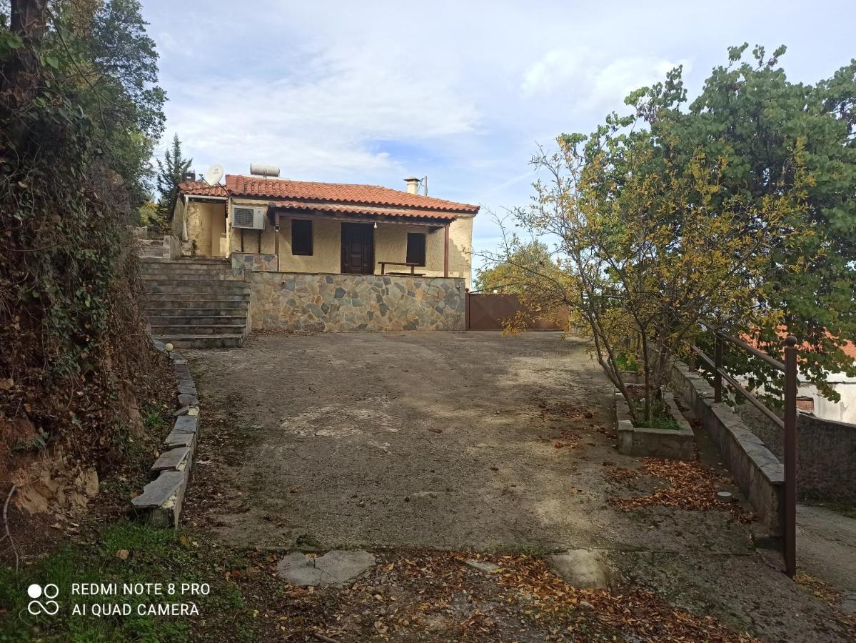 Forestrock Studio For Sale Too สปาร์ติ ภายนอก รูปภาพ