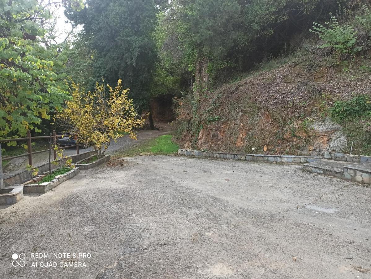 Forestrock Studio For Sale Too สปาร์ติ ภายนอก รูปภาพ